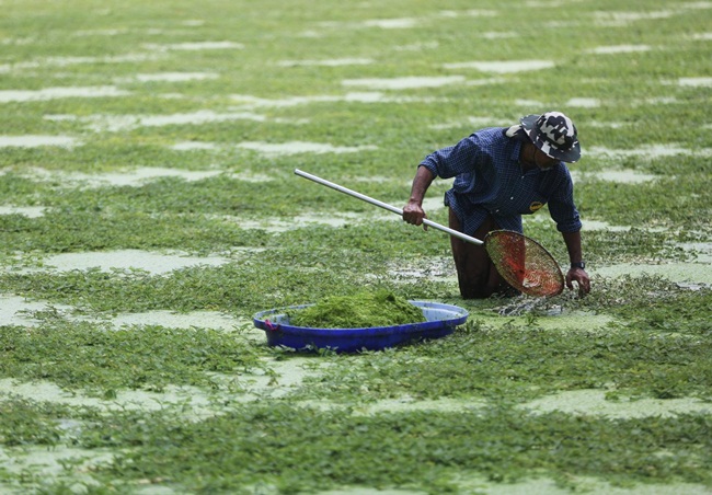 nhin tuong co dai, day ao ho o viet nam, dem ve trong lai co tien