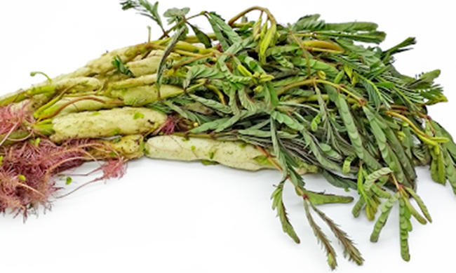 nhin tuong co dai, day ao ho o viet nam, dem ve trong lai co tien