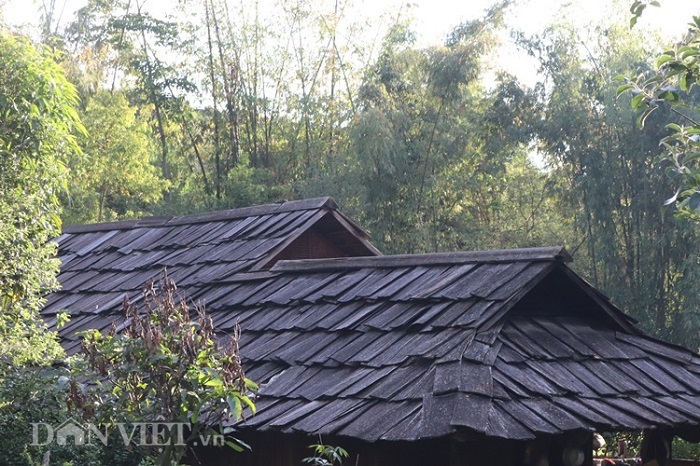 clip: ky la, noi mai nha quanh nam