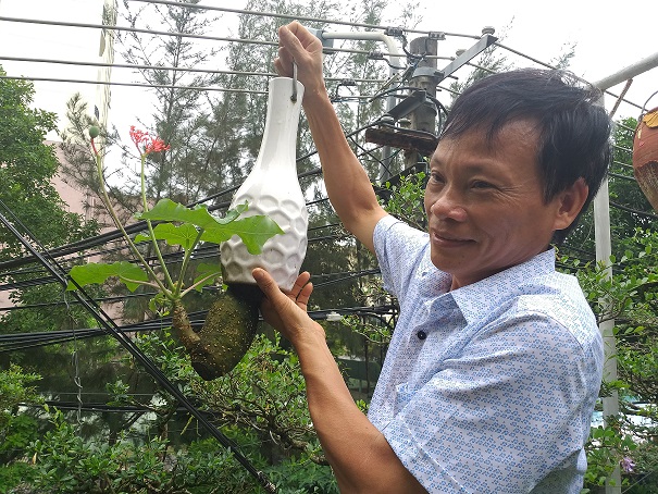 ngam dan bonsai “moc nguoc” cuc doc la cua lao gan xu quang hinh anh 7