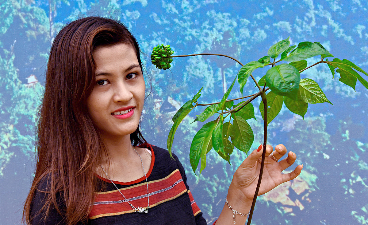 thu hat do dep me hoac vi nhu ngoc troi tren dinh ngoc linh hinh anh 3