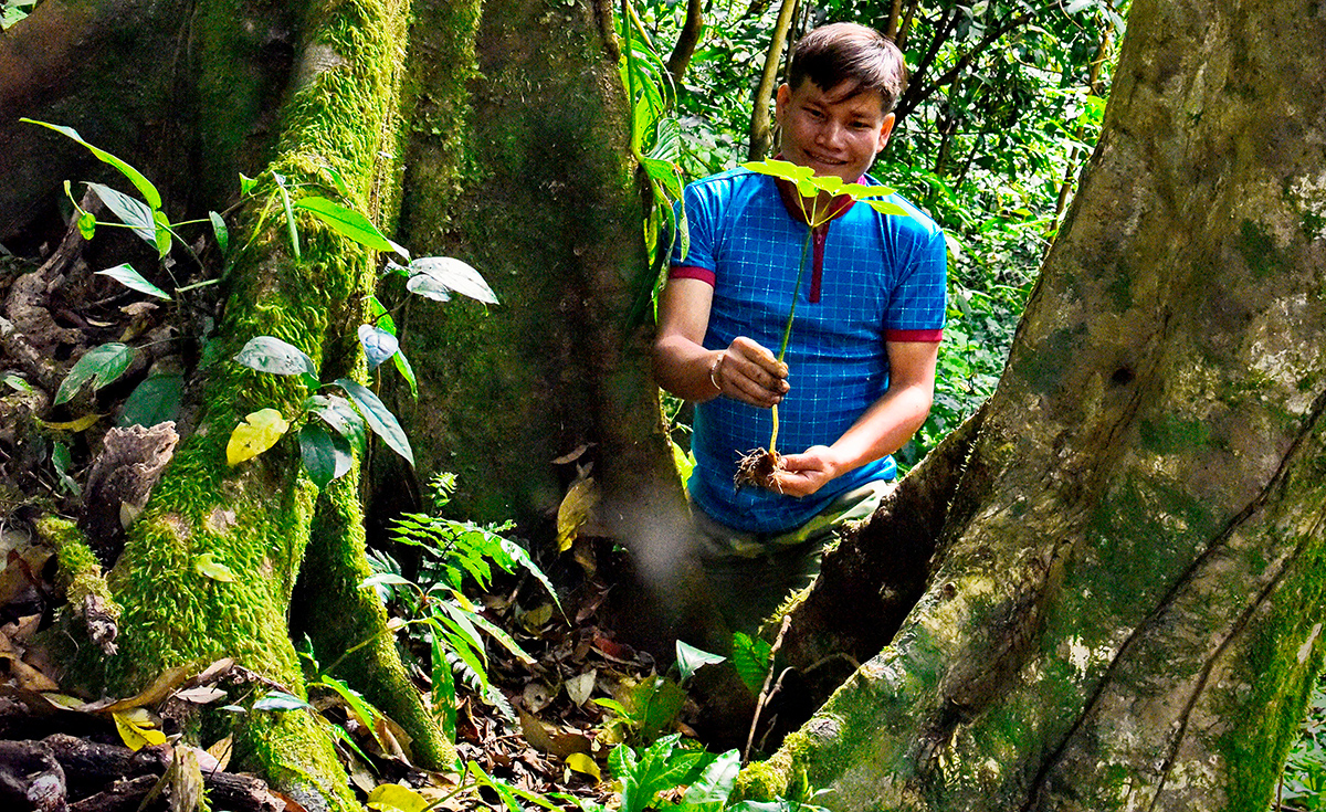 thu hat do dep me hoac vi nhu ngoc troi tren dinh ngoc linh hinh anh 1