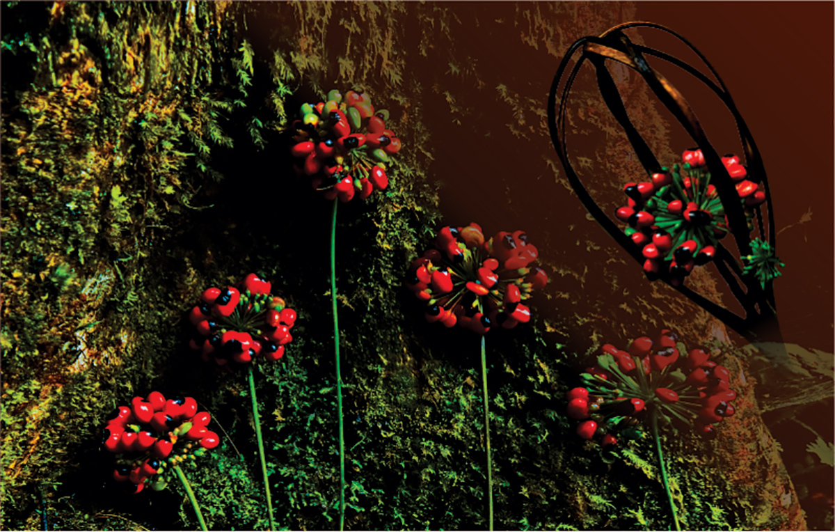 thu hat do dep me hoac vi nhu ngoc troi tren dinh ngoc linh hinh anh 6