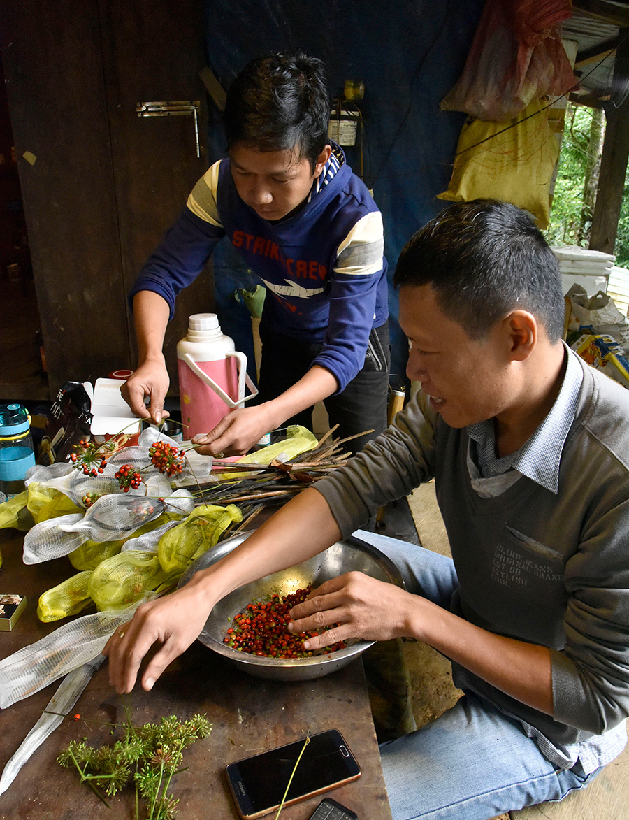 thu hat do dep me hoac vi nhu ngoc troi tren dinh ngoc linh hinh anh 7