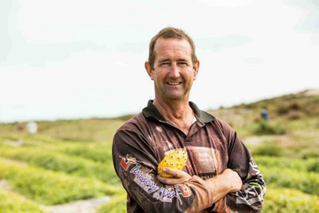 loai qua xau xi gai goc, tung moc hoang khong ai ngo nay dat khong ngo hinh anh 6