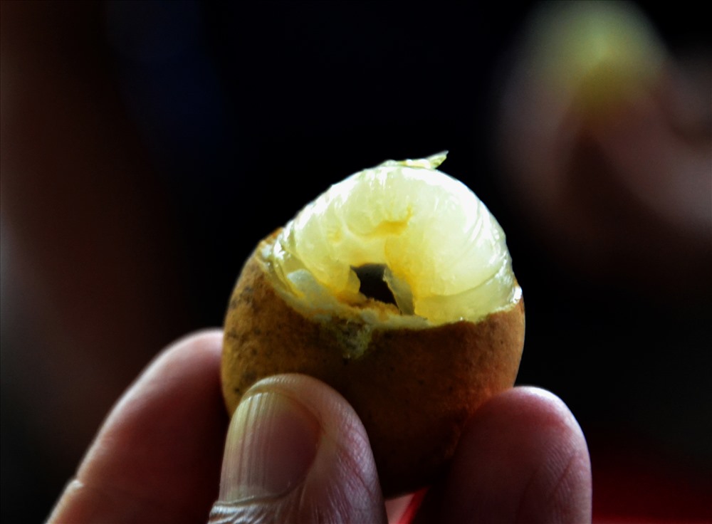 tren ca dac san, giong nhan dot bien o bac lieu duoc san tim hinh anh 6