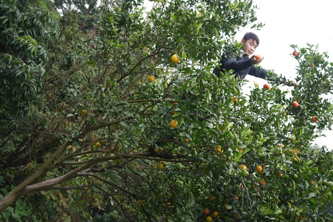 truóc bà tan vlog, chang trai này dã kiem hon 30 trieu/thang nhò livestream hinh anh 2