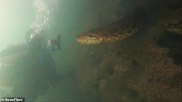 kinh hoang canh tho lan cham mat loai tran lon nhat the gioi duoi nuoc hinh anh 2