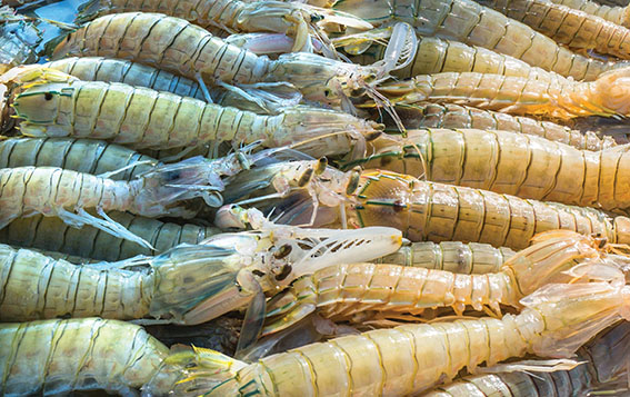 top 10 dac san hai san ngon nhat dat viet duoc sach ky luc ghi nhan hinh anh 18