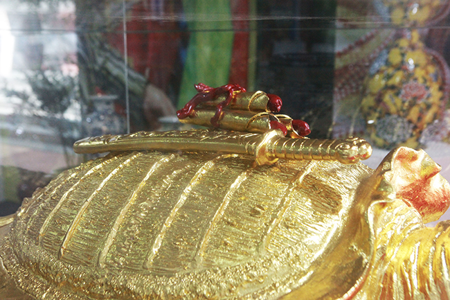 can canh cu rua vang