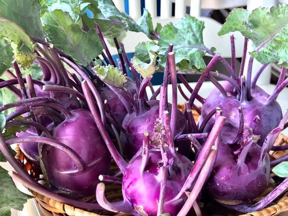 me dam sai gon trong rau san thuong tot um nhu...rau qua