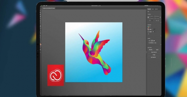 iPad sẽ được hỗ trợ Illustrator, dân thiết kế đổ xô đi mua