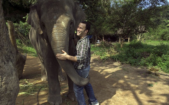 thu quy nhu vang trong phan voi, muon mua cung kho, gia 25 trieu dong/kg hinh anh 1