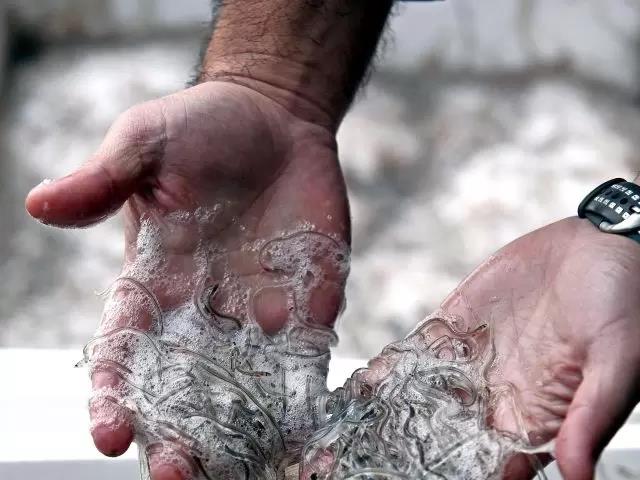 vi sao nhieu nguoi tq