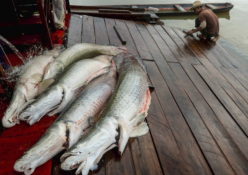 hanh trinh vat lon bat