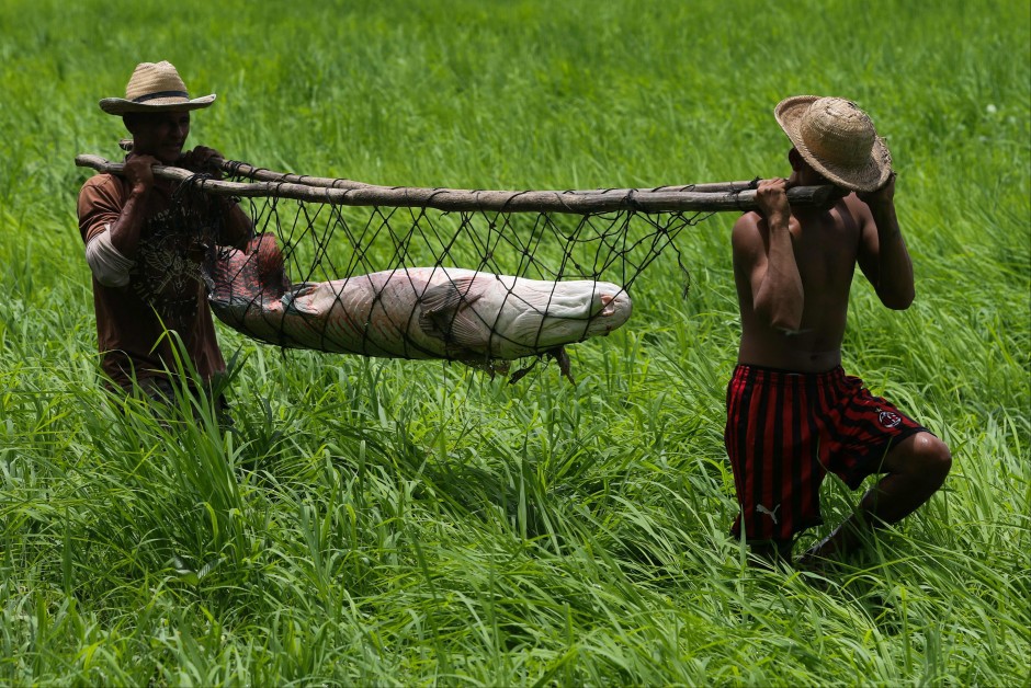 hanh trinh vat lon bat