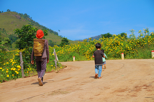 me man ngam hoa da quy vang ruc tren nui lua chu dang ya hinh anh 5