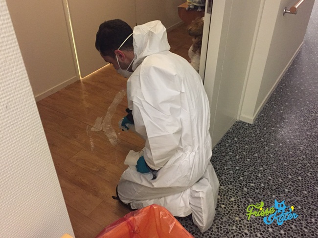 lam cong viec ai cung