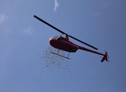 dam cuoi hoanh trang, chu re thue ca may bay rai phong bi li xi cho khach moi hinh anh 3