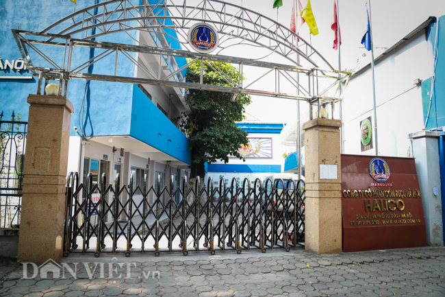 ha noi: khu dat “vang” 94 lo duc de co moc hoang cao lut dau nguoi hinh anh 2