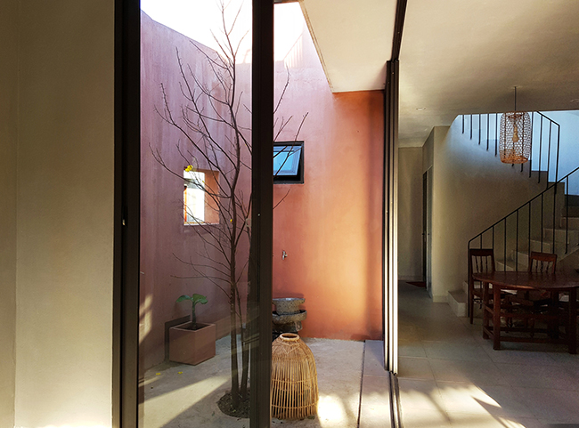 vuon rau 7 bac thang tren mai nha o quang ngai len bao my hinh anh 13