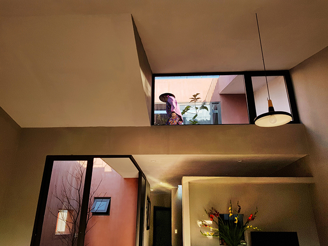 vuon rau 7 bac thang tren mai nha o quang ngai len bao my hinh anh 14