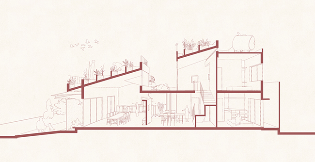 vuon rau 7 bac thang tren mai nha o quang ngai len bao my hinh anh 20