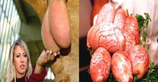 Đặc sản được làm từ tinh hoàn động vật: Bà tranh mua bồi bổ cho ông