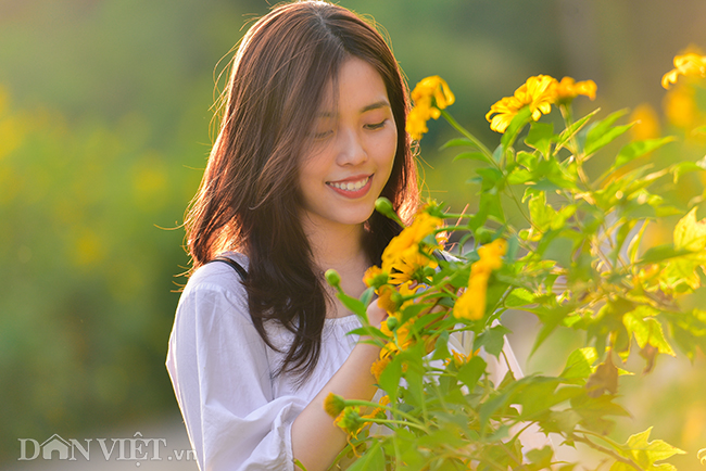 rung hoa da quy dep me hon thu hut ngan nguoi check in o ha noi hinh anh 10