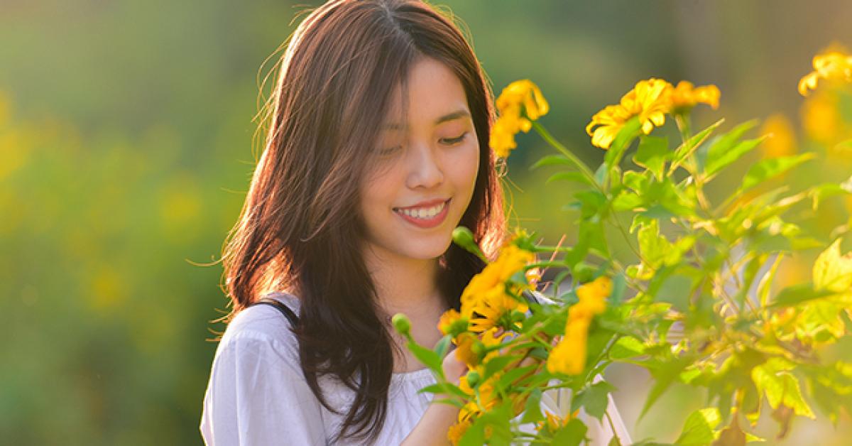 Rừng hoa dã quỳ đẹp mê hồn thu hút ngàn người check in ở Hà Nội