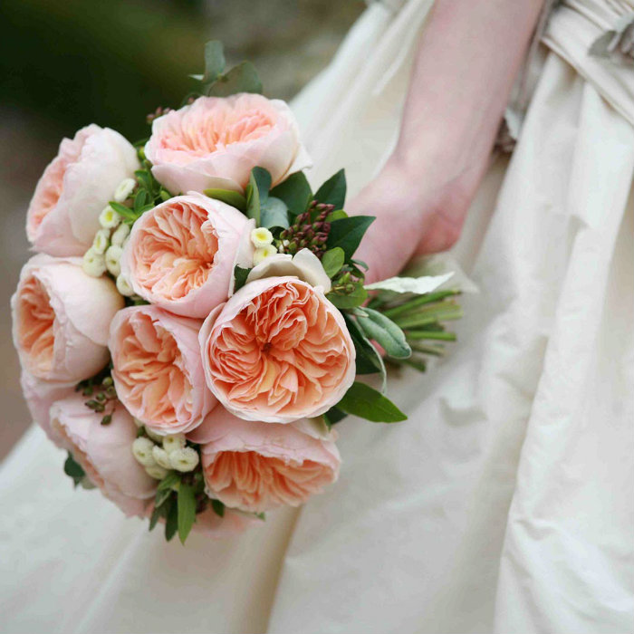 Hoa hồng là một trong những loài hoa quý giá nhất và đắt giá. Nếu bạn yêu thích vẻ đẹp của hoa hồng và muốn khám phá thêm về chúng, hãy truy cập ngay vào trang web của chúng tôi để xem những hình ảnh đẹp nhất về hoa hồng và tìm hiểu thêm về giá trị của chúng trong văn hóa đại chúng.