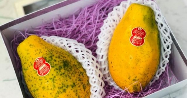 Đu đủ 'đi máy bay' về Việt Nam giá 1,2 triệu/kg có ngon xuất sắc?