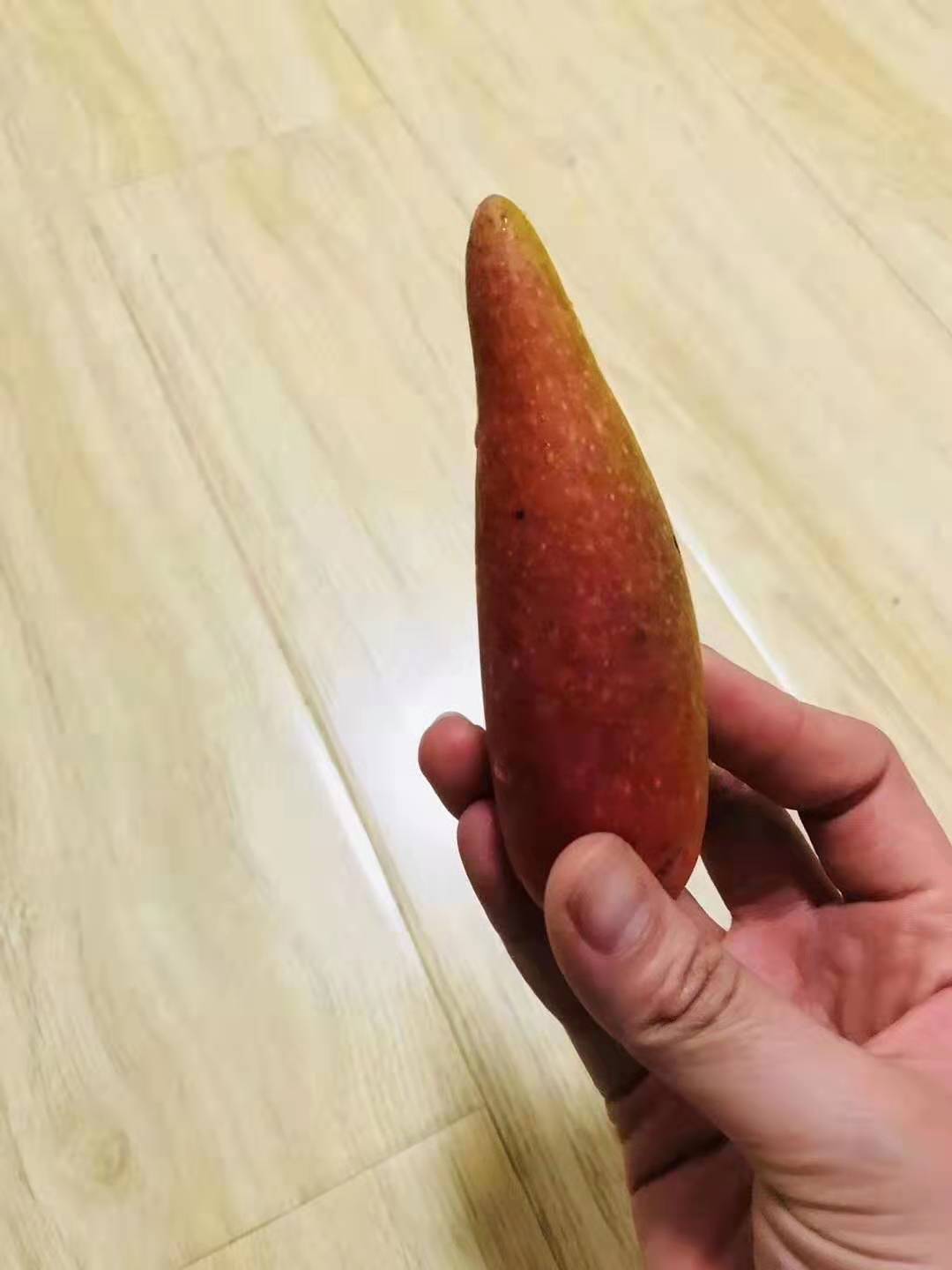 tan muc qua xoai nhin xa ngo trai ot, hat nho nhu que tam gay