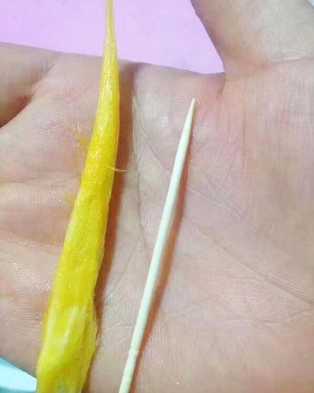 tan muc qua xoai nhin xa ngo trai ot, hat nho nhu que tam gay