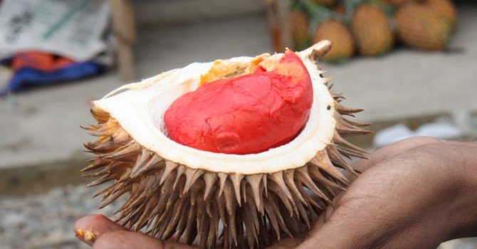 nhung loai qua ruot do khien chi em