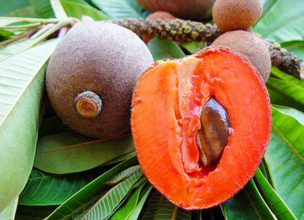 nhung loai qua ruot do khien chi em