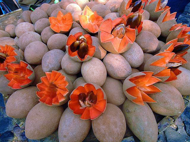 nhung loai qua ruot do khien chi em