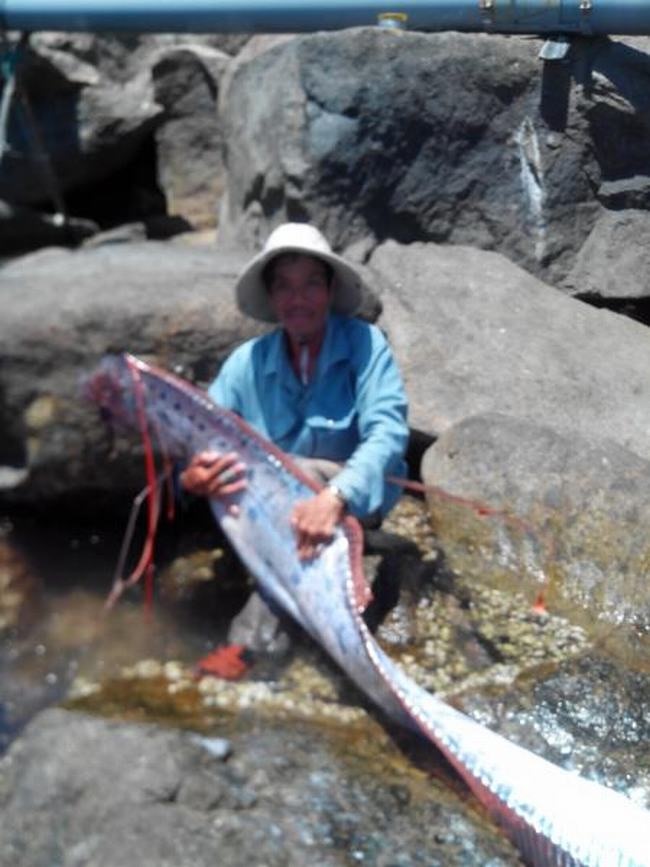 giat minh khi thay nhung