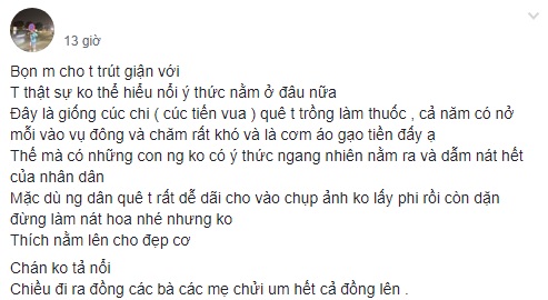 co gai kem duyen nam de bep vuon cuc tien vua cuc dat khien dan mang phan no hinh anh 1