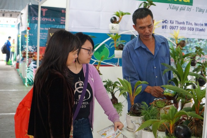 xuat hien dua bonsai dot bien 2 mau cuc la, hang doc choi tet hinh anh 12