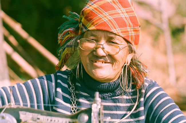 hoa mai anh dao khoe sac