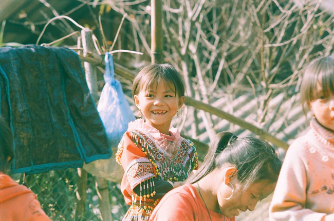 hoa mai anh dao khoe sac