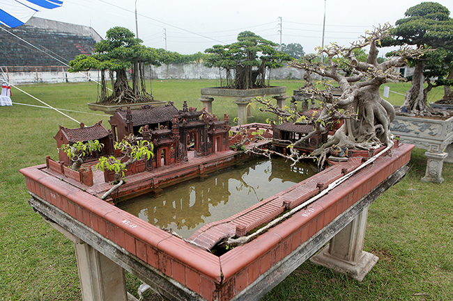 mo hinh mai dinh cay da giong that den ngo ngang gia nua ty dong hinh anh 1