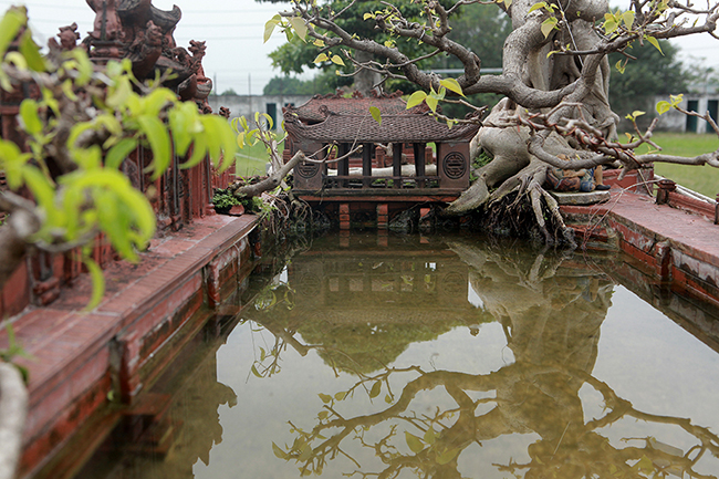 mo hinh mai dinh cay da giong that den ngo ngang gia nua ty dong hinh anh 10