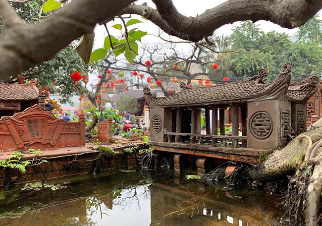 mo hinh mai dinh cay da giong that den ngo ngang gia nua ty dong hinh anh 11