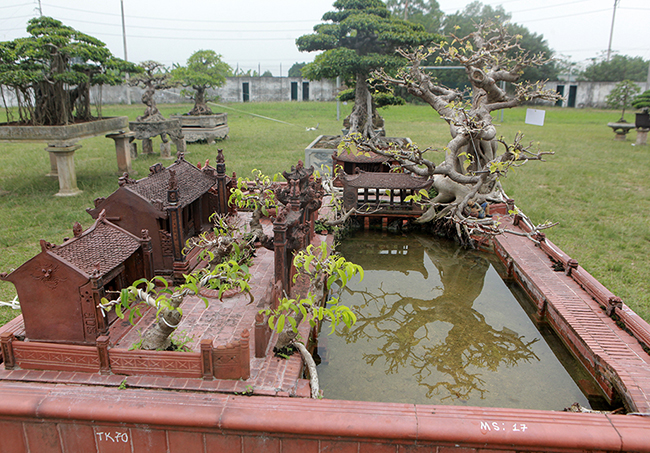 mo hinh mai dinh cay da giong that den ngo ngang gia nua ty dong hinh anh 12
