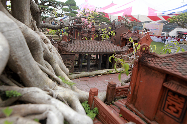 mo hinh mai dinh cay da giong that den ngo ngang gia nua ty dong hinh anh 3