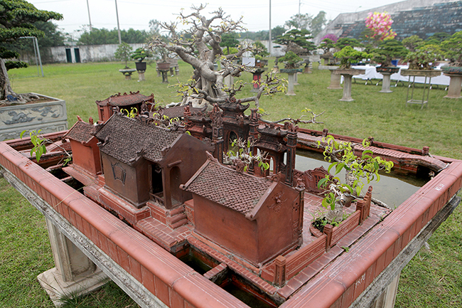 mo hinh mai dinh cay da giong that den ngo ngang gia nua ty dong hinh anh 5