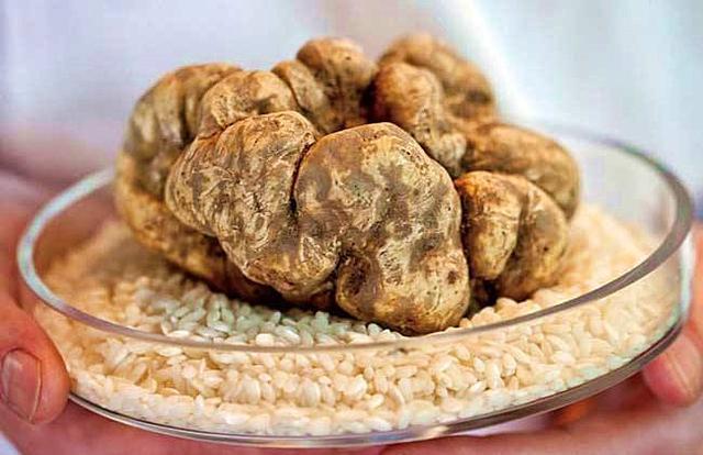 5 thuc pham dat nhat the gioi, an mot mieng cung du de pha san hinh anh 1