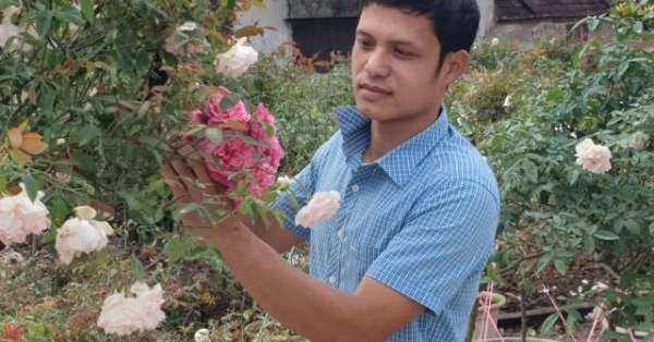 Ninh Bình: Trồng hoa hồng cổ bán Tết, 9X bỏ túi trăm triệu